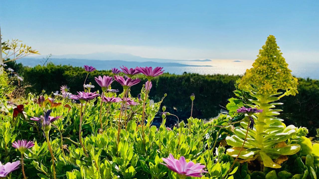 Vue Mer Panoramique Et Piscine Бандоль Экстерьер фото