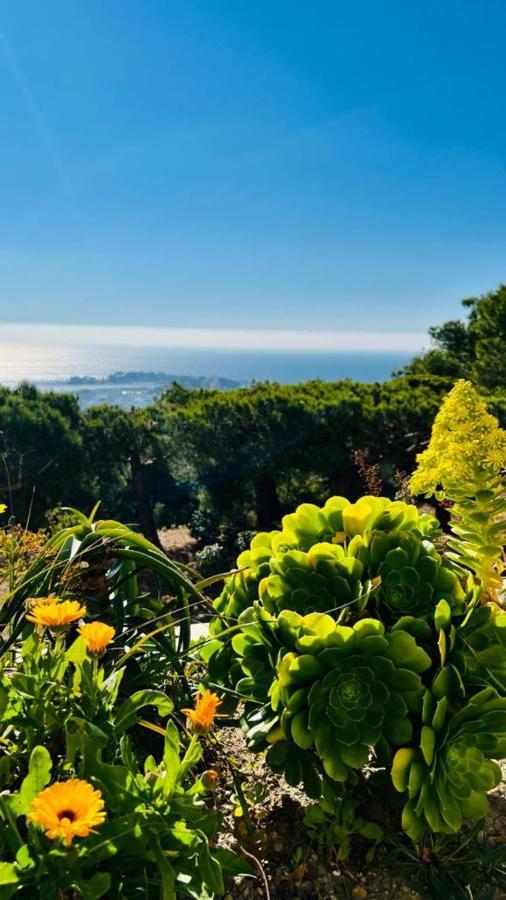 Vue Mer Panoramique Et Piscine Бандоль Экстерьер фото